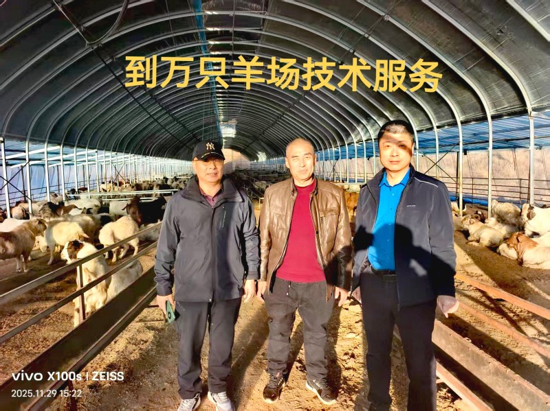 Ȥ����welcome��¼��(�й�)�ٷ���վ