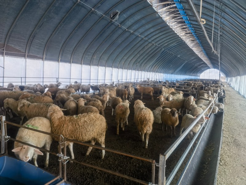 Ȥ����welcome��¼��(�й�)�ٷ���վ