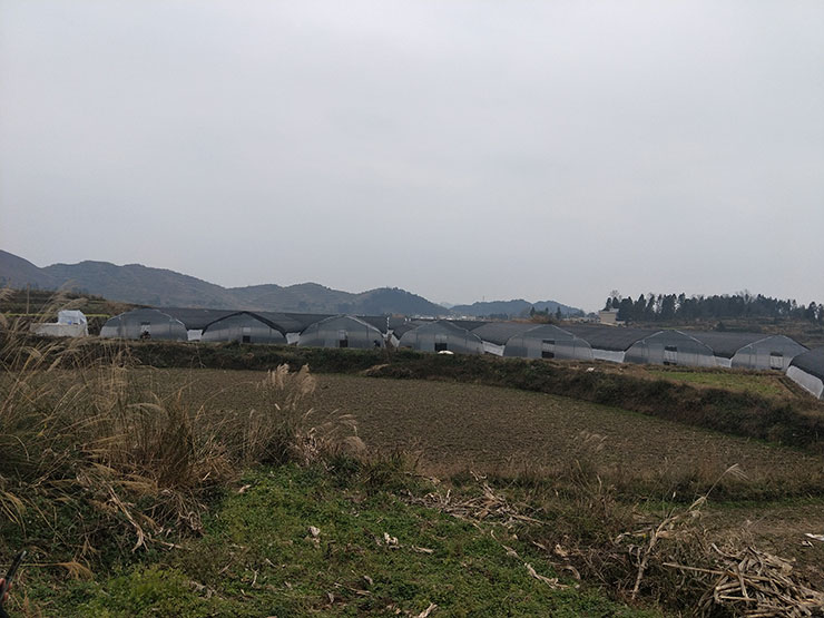��ҳ- k8���������й��ٷ���վ