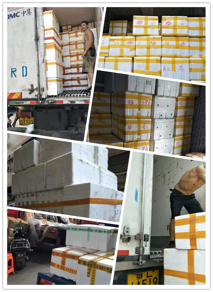 ��ҳ- k8���������й��ٷ���վ