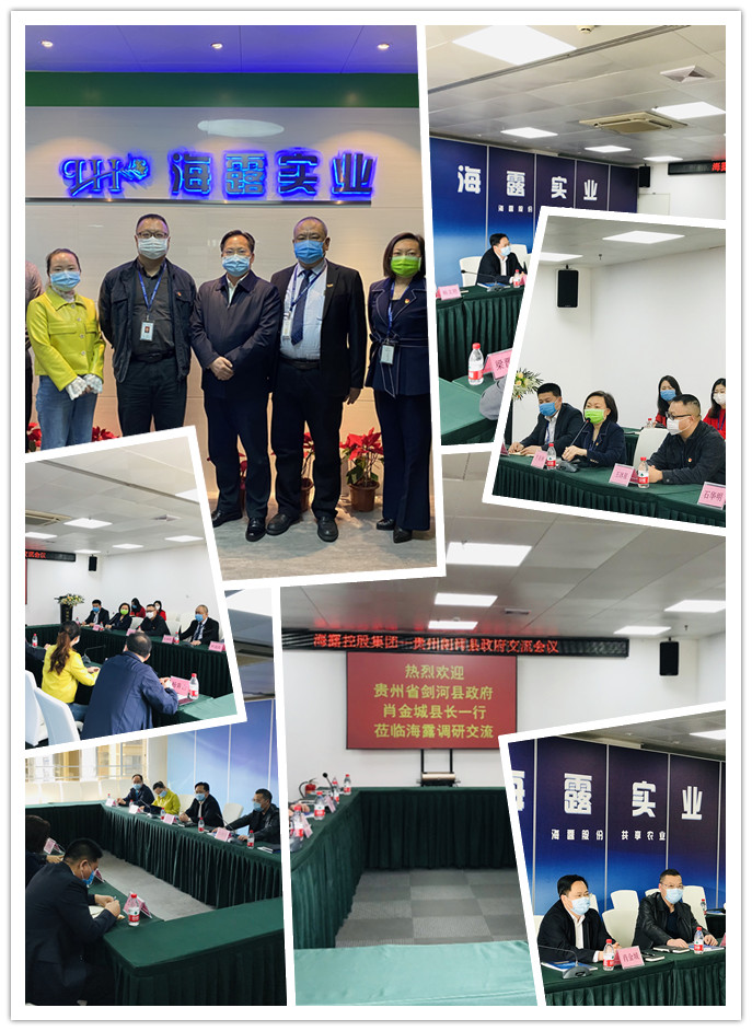 1-20031109460DP 首页- k8凯发集团中国官方网站