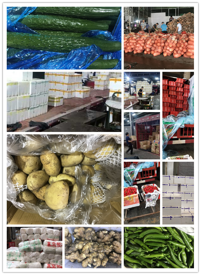 ��ҳ- k8���������й��ٷ���վ