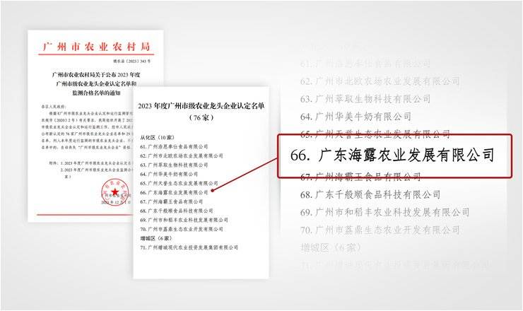 1-23120GS941164 首页- k8凯发集团中国官方网站
