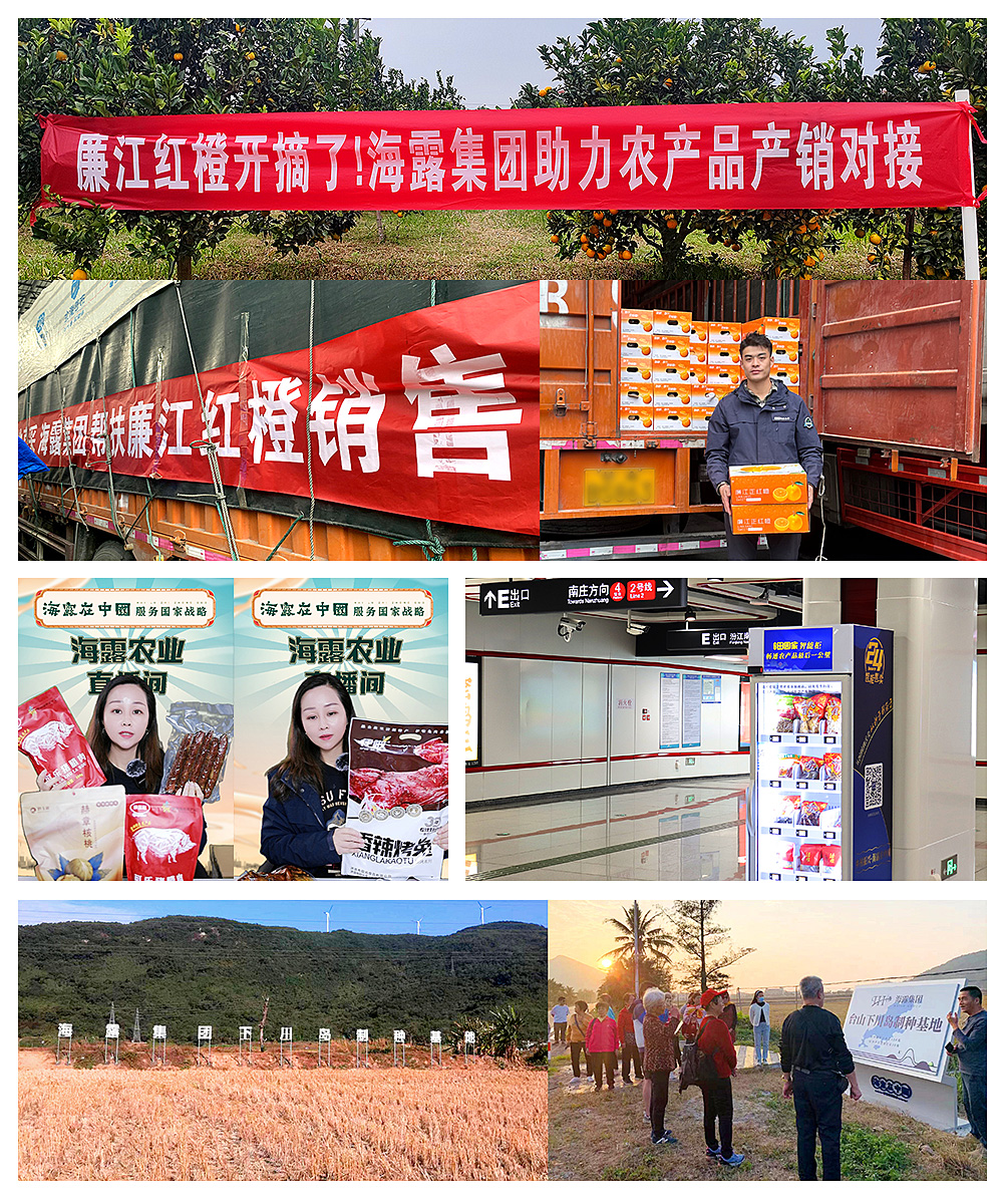 1-2401031QG3L6 首页- k8凯发集团中国官方网站