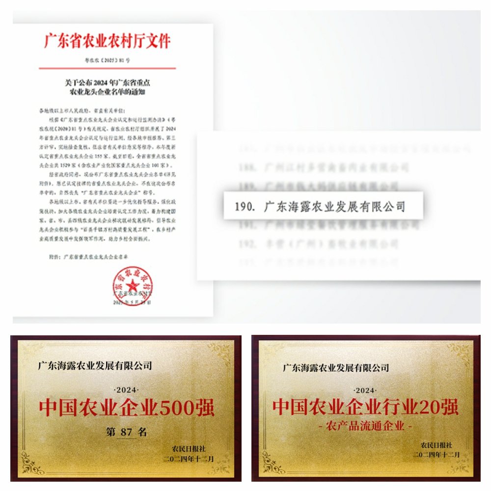 1-2506051411103H 首页- k8凯发集团中国官方网站