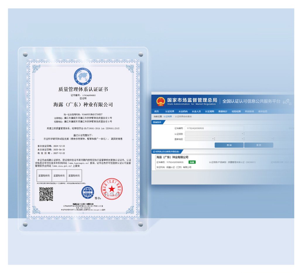 1-250G0144920947 首页- k8凯发集团中国官方网站